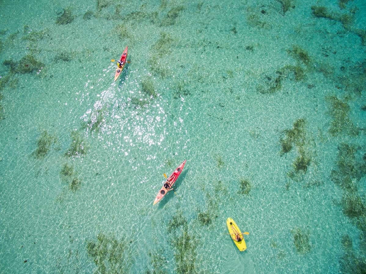 ARTravel Ephelia Sports