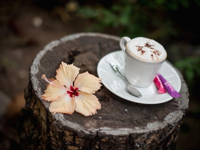café du matin à l'hôtel le Repaire