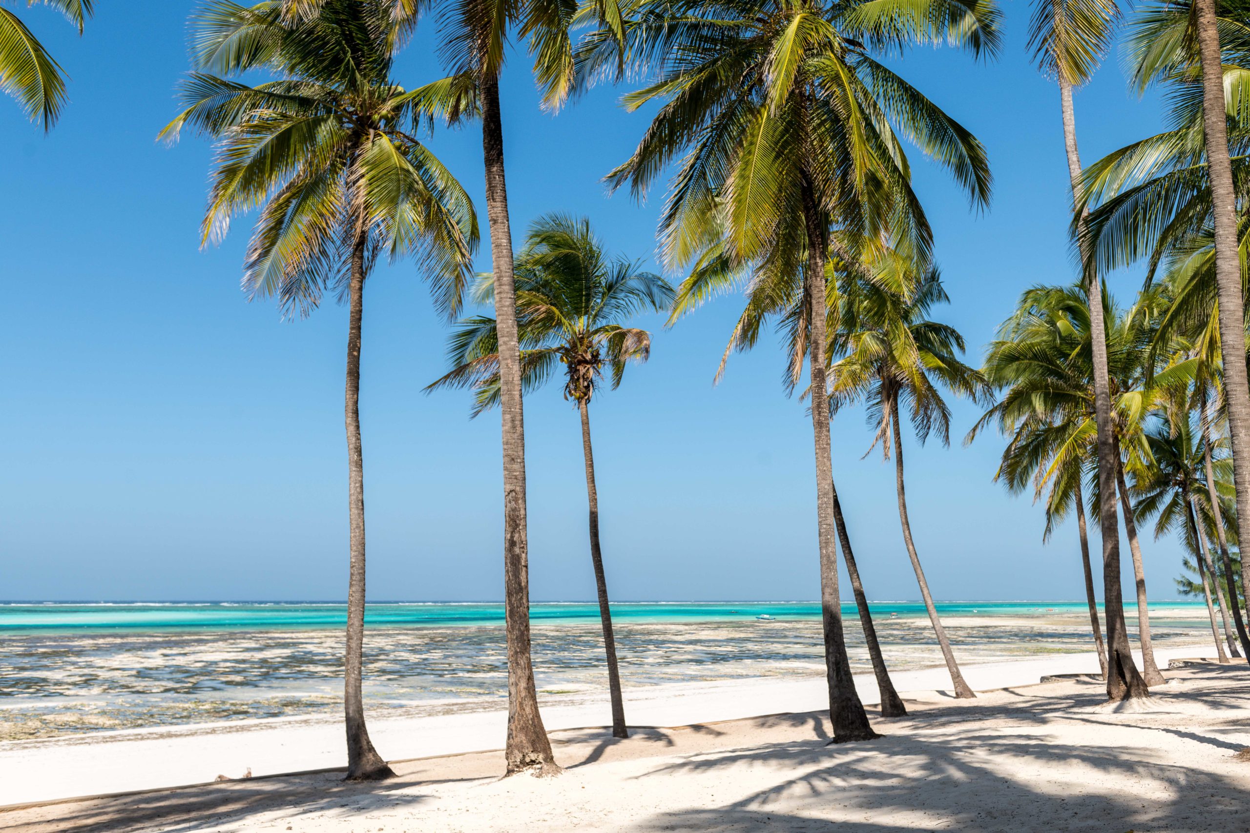 Mer bleue azur palmiers et sable blanc