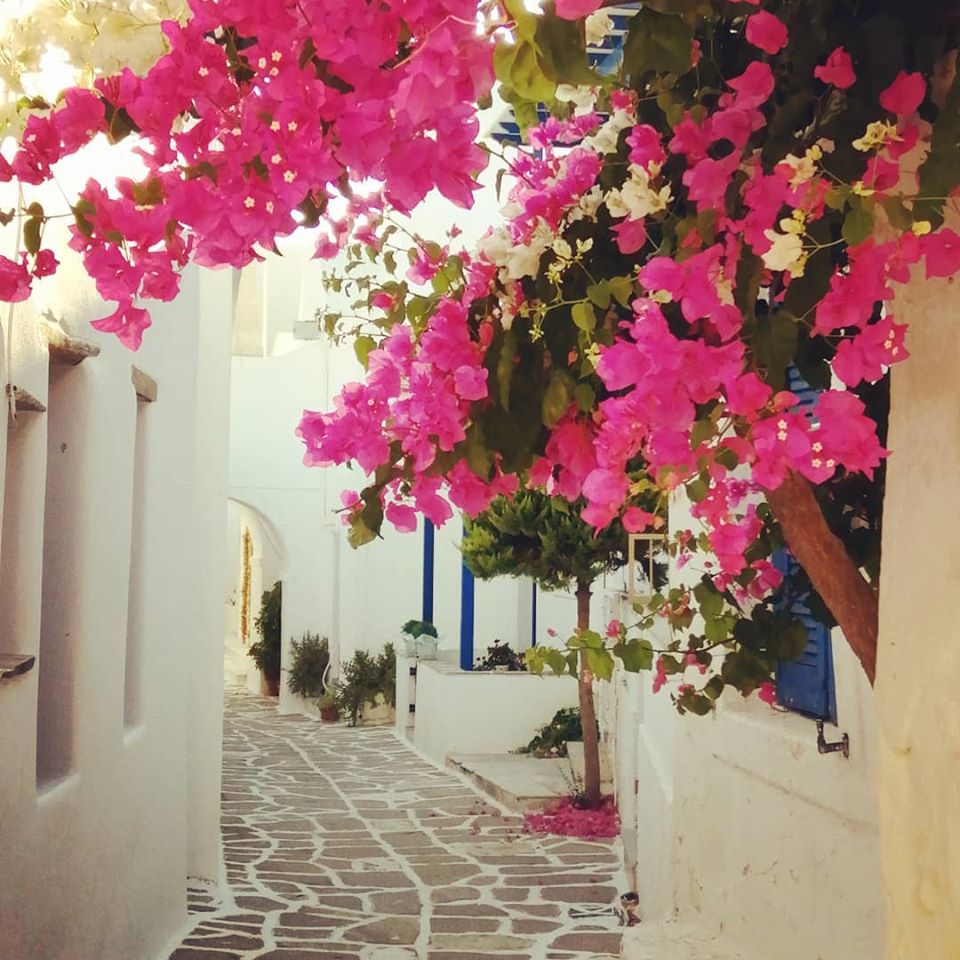 Ruelle de Parikia île de Paros îles Cyclades Grèce